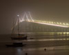 Pell Bridge night fog